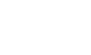 fargo festival